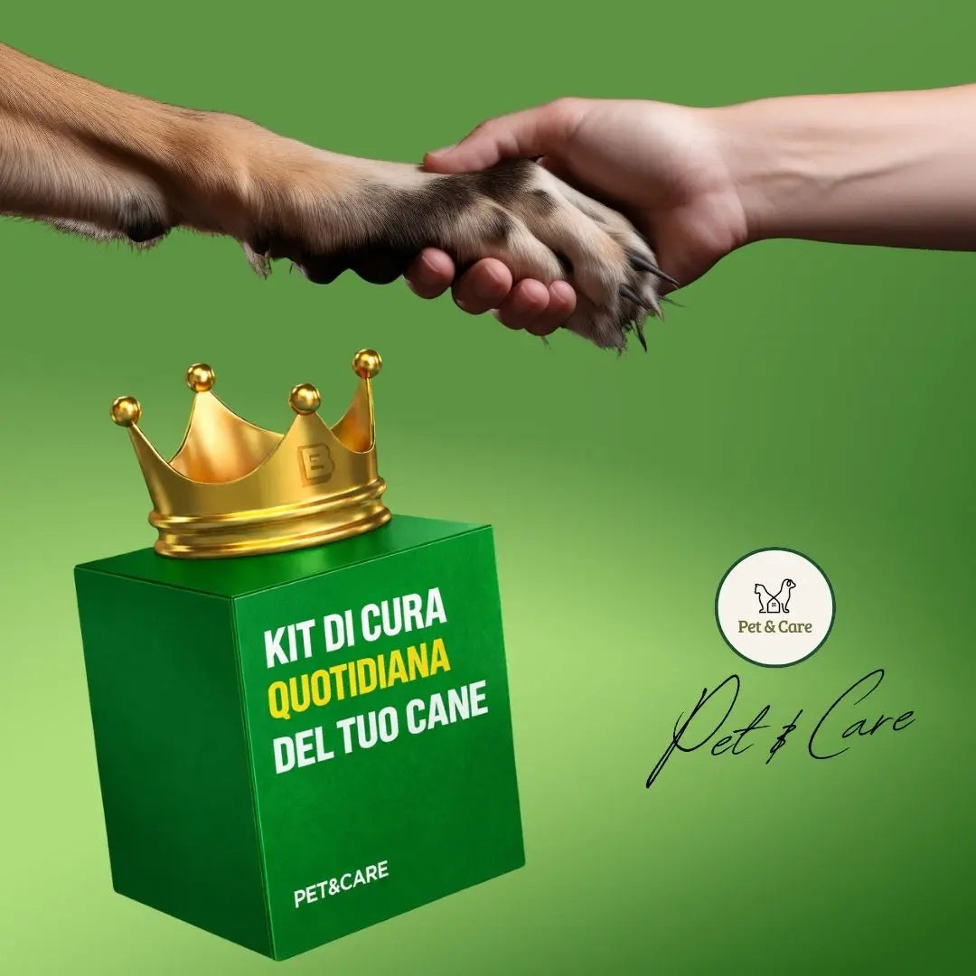 Kit per la vita quotidiana