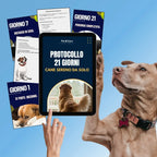 Protocollo 21 Giorni